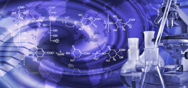 Application of Cinnamic Alcohol in Flavors and Fragrances